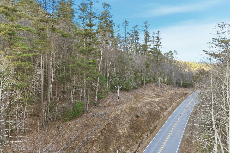 More Photos Of 0 Georgia 75/17, Hiawassee Land For Sale