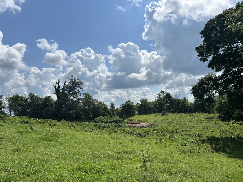 More Photos Of 1886 Bowling Green Rd, Scottsville Land For Sale