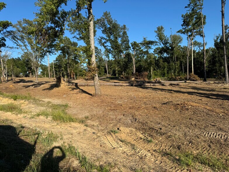 More Photos Of 16393 Highway 31, Tyler Land For Sale