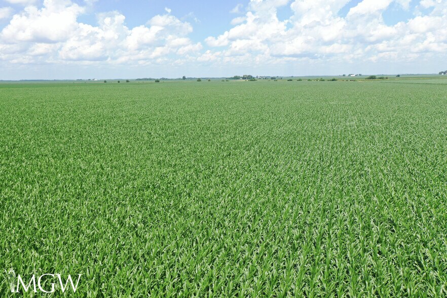 More Photos Of Illinois 17, Toluca Land For Sale