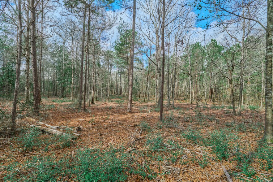More Photos Of TBD Crockett Martin, Conroe Land For Sale