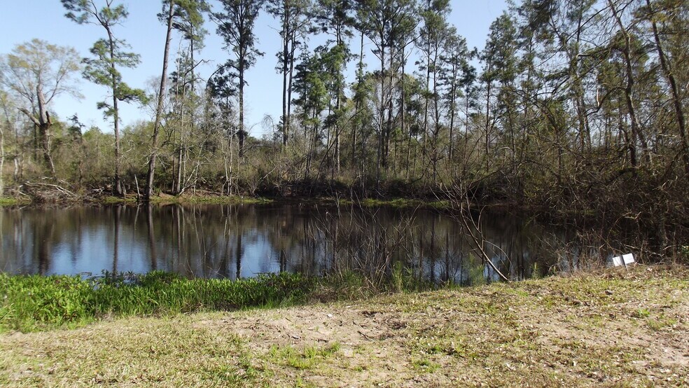 More Photos Of 24030 Hegar Rd, Hockley Land For Sale