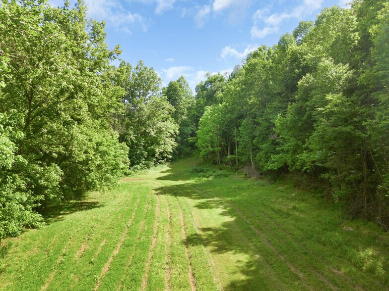 More Photos Of 316 KY-172, Staffordsville Land For Sale