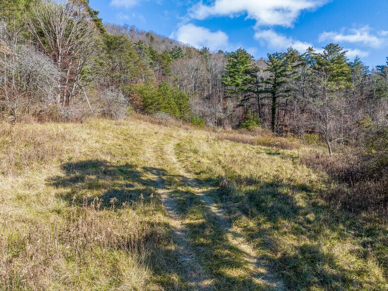 More Photos Of 300 Baird Cove Rd, Asheville Land For Sale