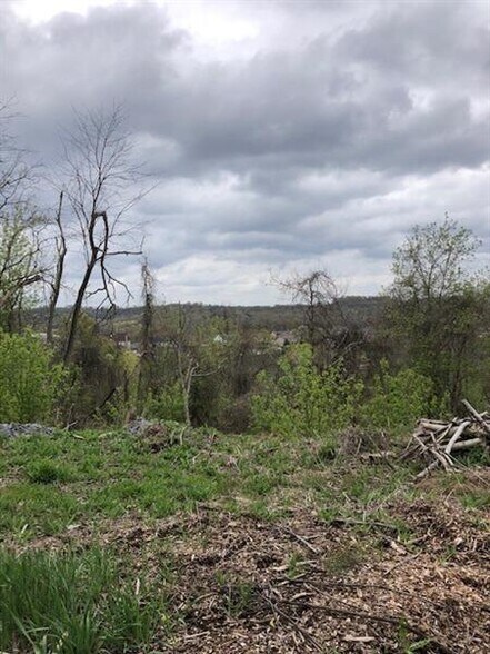 Primary Photo Of 110 Ridge Rd, South Park Land For Sale