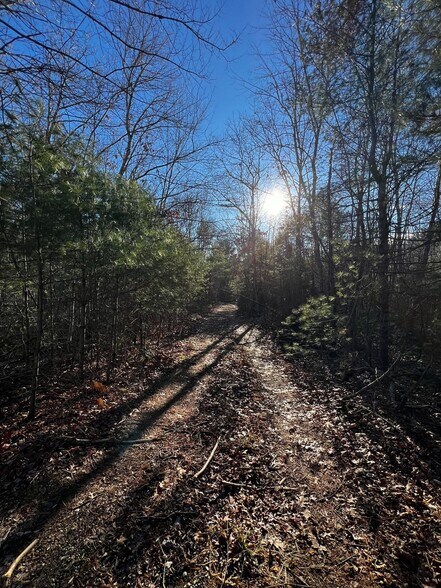 More Photos Of 480 Rear Wareham Street, Middleboro Land For Sale