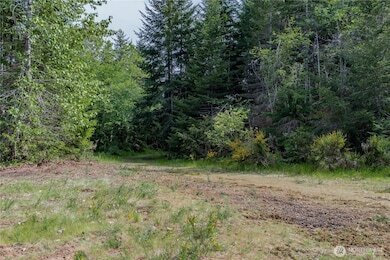 More Photos Of N US Hwy 101, Lilliwaup Land For Sale