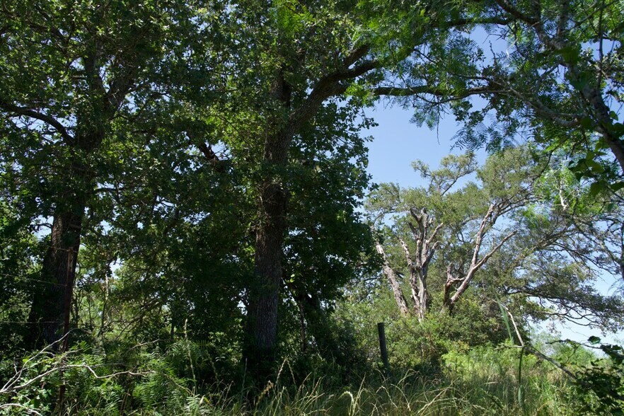 More Photos Of 00 Taylorsville Rd, Red Rock Land For Sale