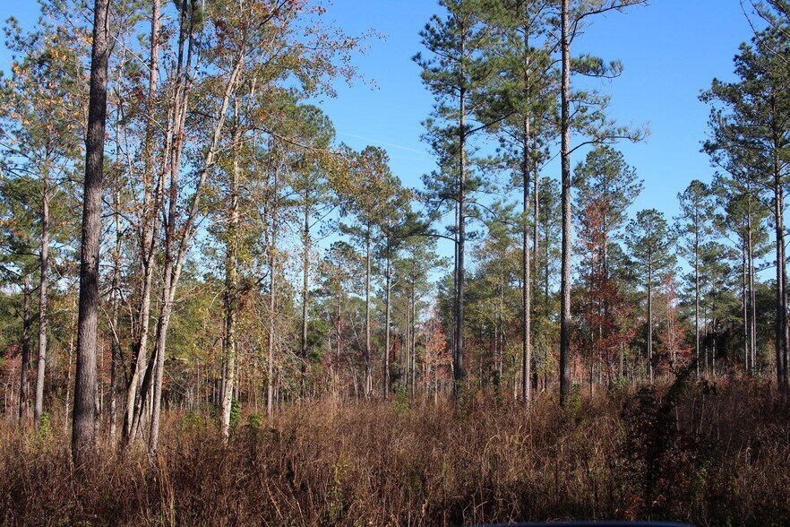 More Photos Of 4433 Pat Thomas Pky, Quincy Land For Sale