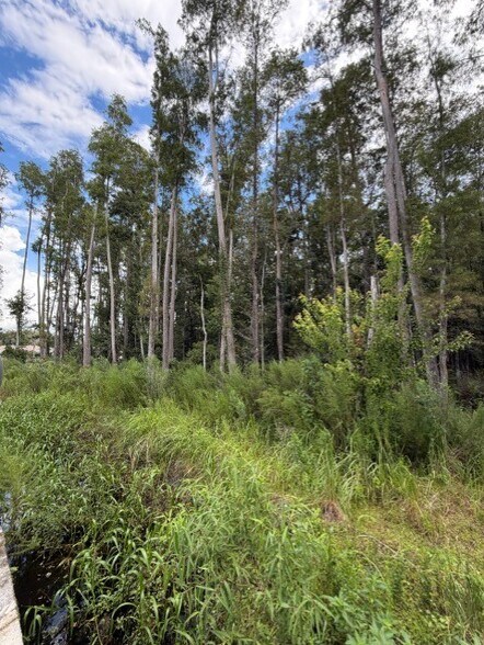 More Photos Of 0 Wesley Chapel Boulevard, Lutz Land For Sale