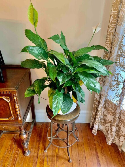 More Photos Of 42-50 Stoney Clove -1, Hunter Apartments For Sale