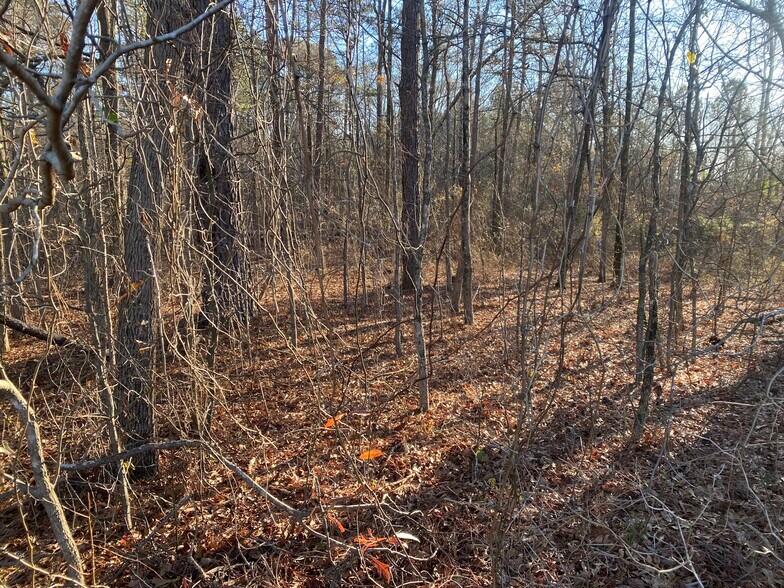 More Photos Of 760 Highway 11, Monroe Land For Sale