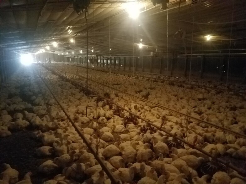 More Photos Of 18369 N. State Hwy 109, Scranton Land For Sale