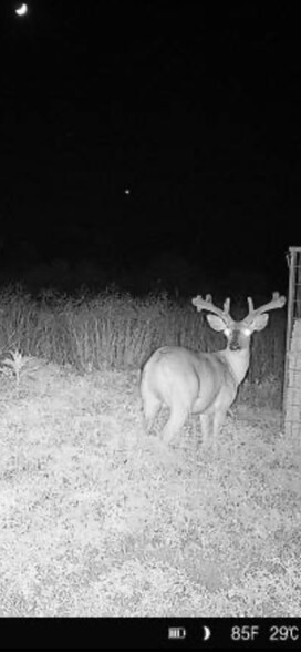 More Photos Of 4335 US-190, Rochelle Land For Sale