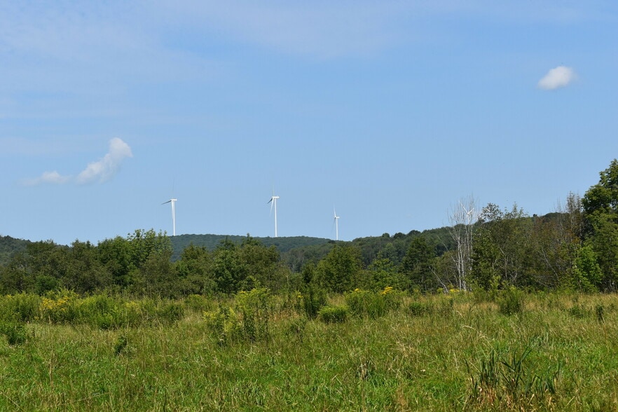 More Photos Of 2276 Old Route 17, Windsor Township Specialty For Sale