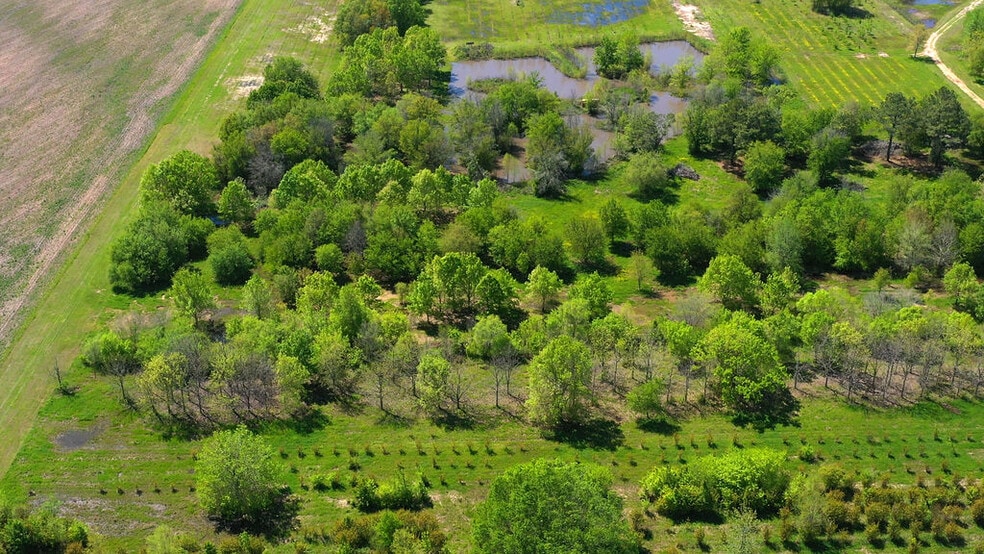 More Photos Of 500 Tree Farm Rd, Garvin Land For Sale