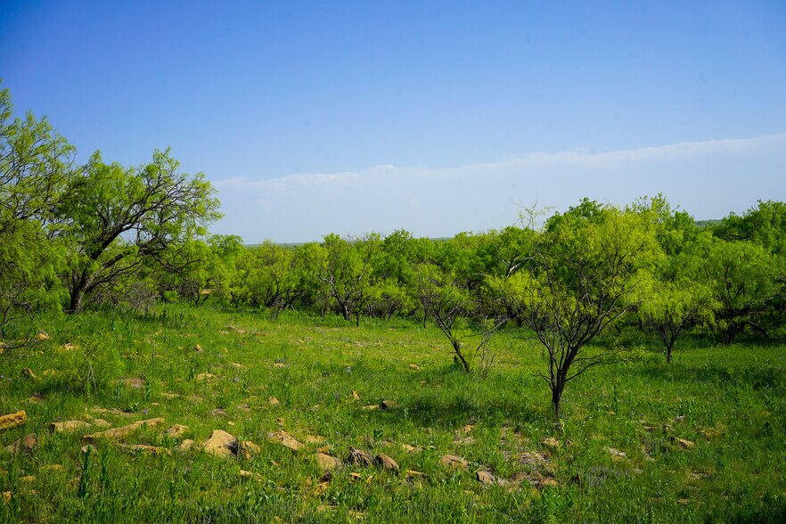 More Photos Of 723 FM 2926, Baird Land For Sale