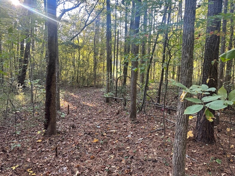 More Photos Of 00 NE Hwy 411, Rydal Land For Sale