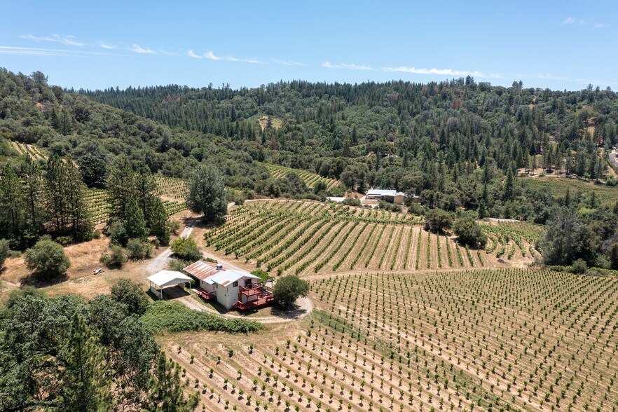 More Photos Of 8221 Stoney Creek Rd, Fair Play Winery Vineyard For Sale