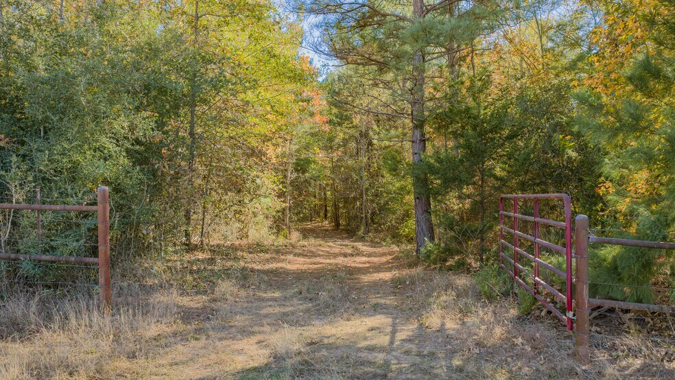 More Photos Of 12806 Wood Rd, Diana Land For Sale