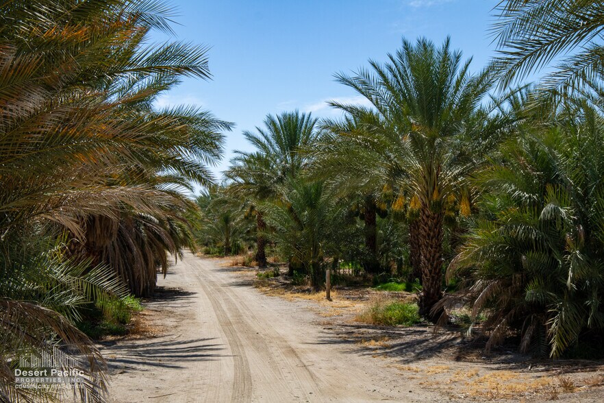 More Photos Of 75317 Polk St st, Thermal Land For Sale