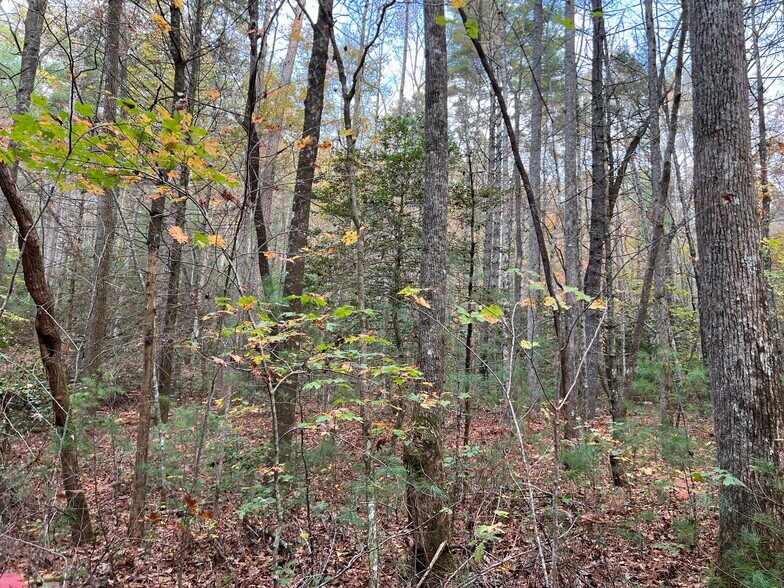 More Photos Of Whitecliff Drive, Ellijay Land For Sale