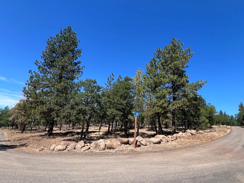 Primary Photo Of 407 Blue Spruce, Goldendale Land For Sale