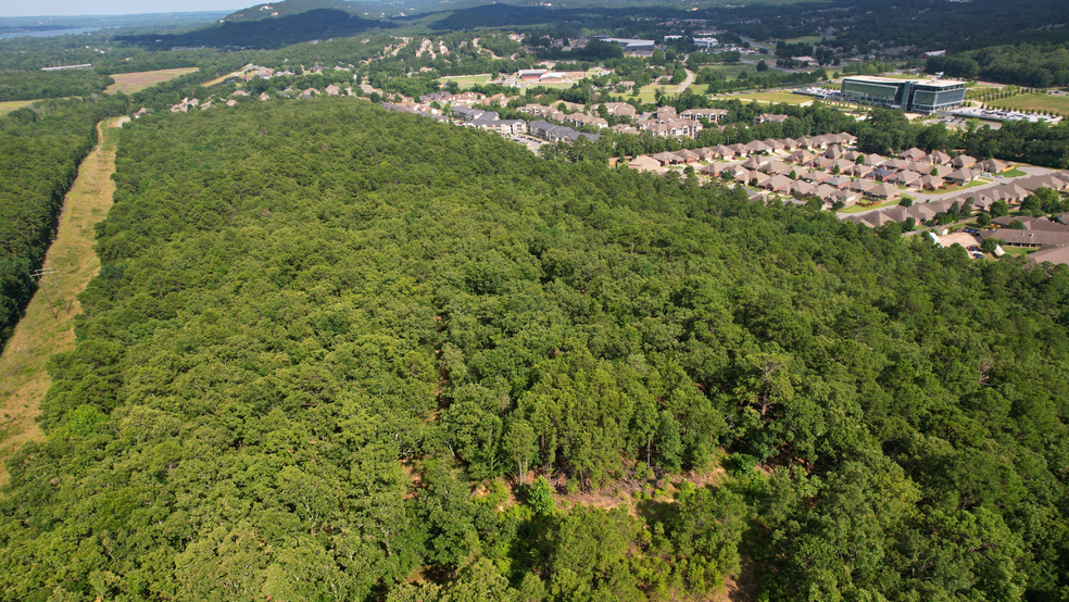 Primary Photo Of Valley Ranch Dr @ Patrick County Road, Little Rock Land For Sale