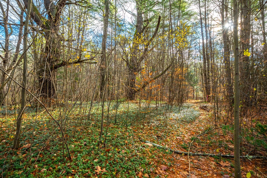 More Photos Of 40 E Putney Brook Rd, Putney Land For Sale