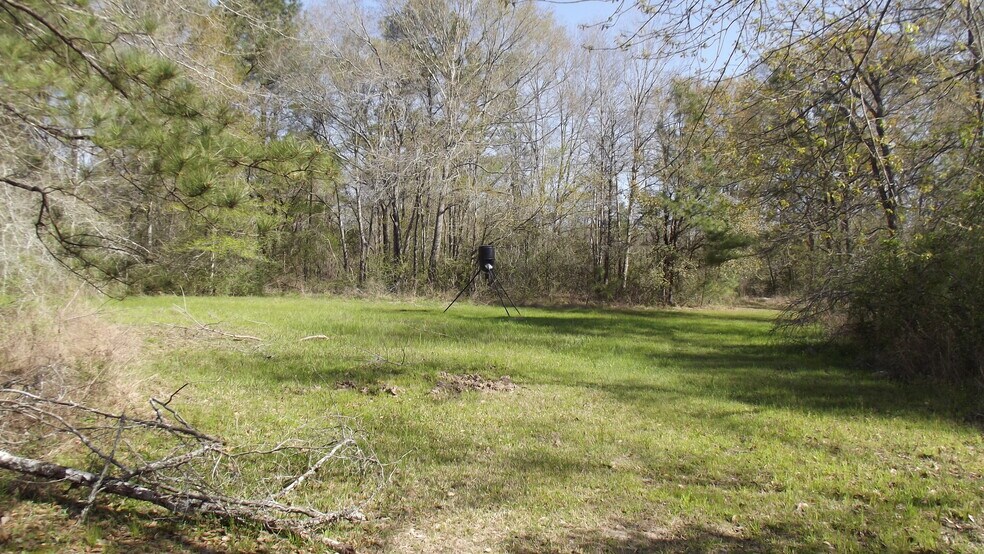 More Photos Of 24030 Hegar Rd, Hockley Land For Sale