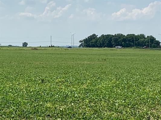 Primary Photo Of 600 S US Highway 41, Fort Branch Land For Sale