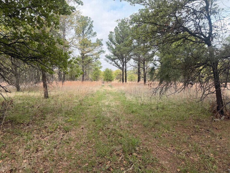 More Photos Of 2548 County Road 2690, Alvord Land For Sale