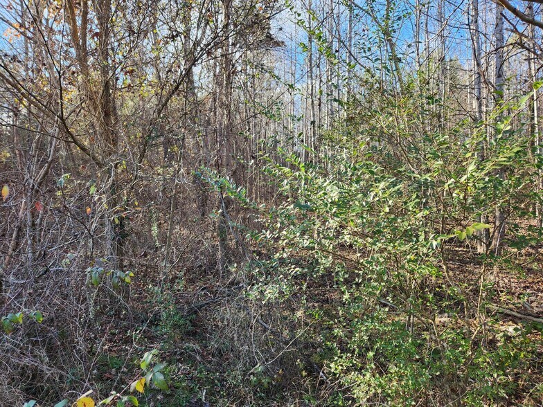 More Photos Of 1310 Mayflower Rd, Sale Creek Land For Sale