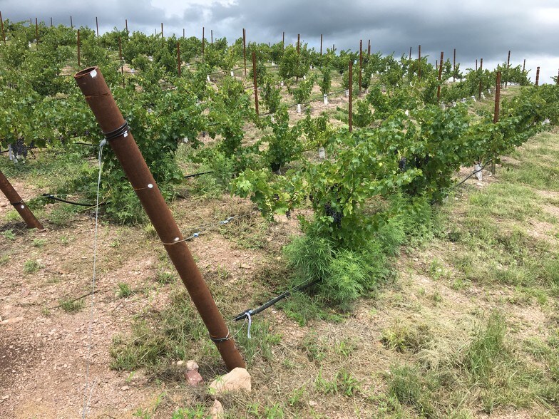 More Photos Of 68 Harvest Dr, Sonoita Land For Sale