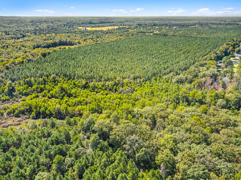 More Photos Of Hwy 157, Princeton Land For Sale