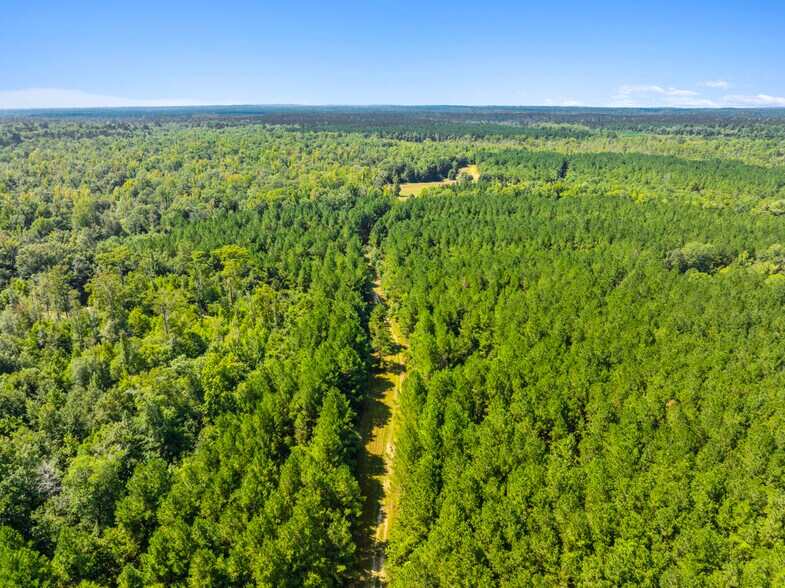 More Photos Of 7471 Highway 155, Saline Land For Sale