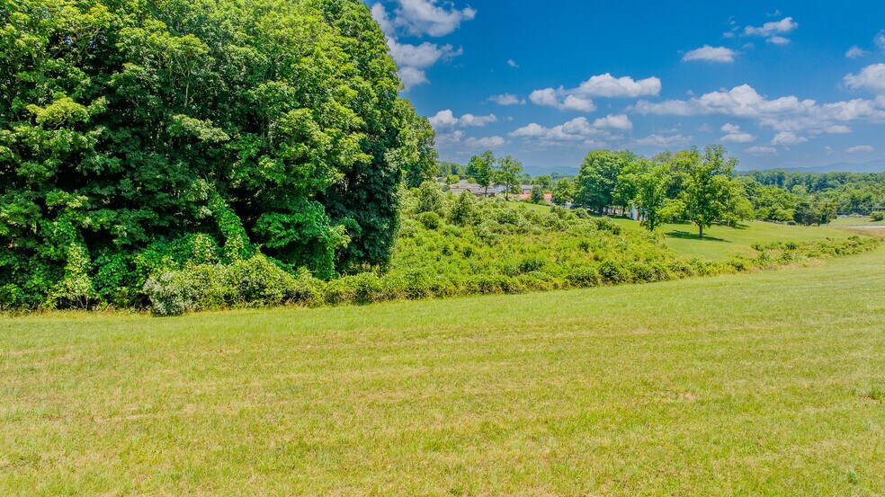 More Photos Of 199 Stuffle St, Kingsport Land For Sale