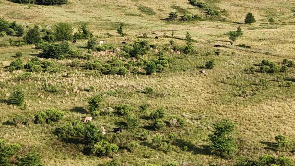 More Photos Of TBD FM 857 Rd, Grand Saline Land For Sale