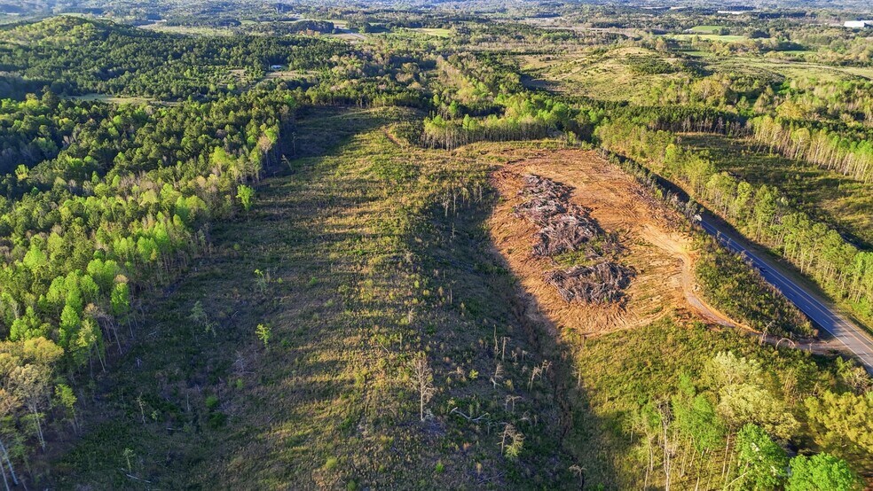 More Photos Of 0 Highway 269, Parrish Land For Sale