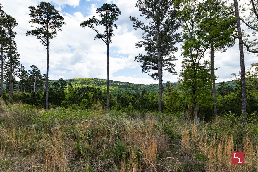 More Photos Of State Highway 43, Clayton Land For Sale