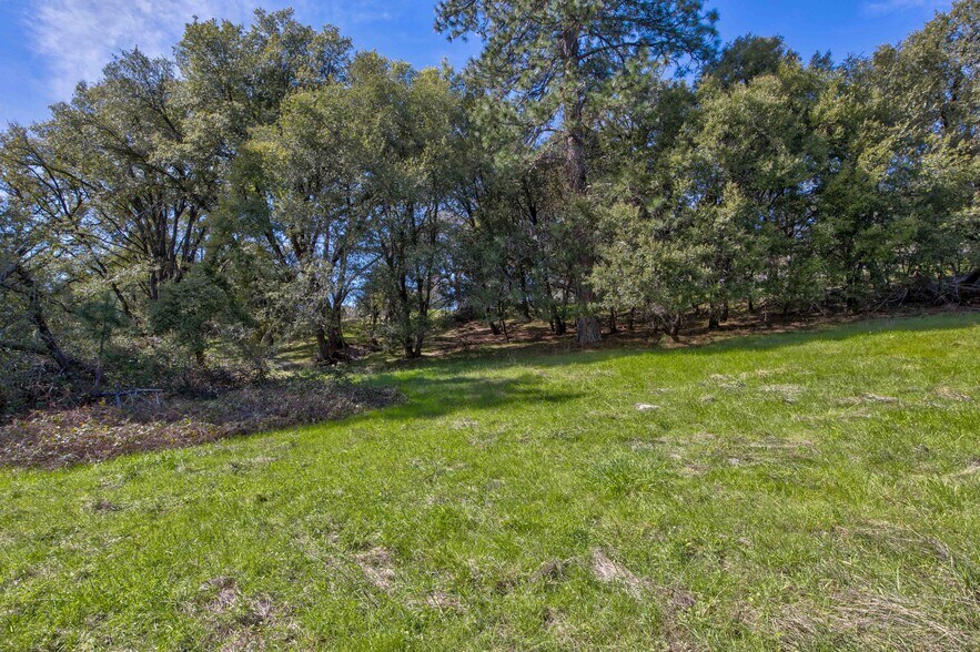 More Photos Of 18800 Charleston Rd, Volcano Land For Sale