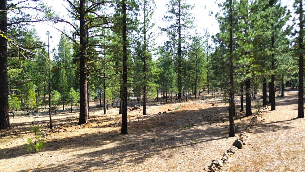 Primary Photo Of 42451 Blue Heron cir, Old Station Land For Sale