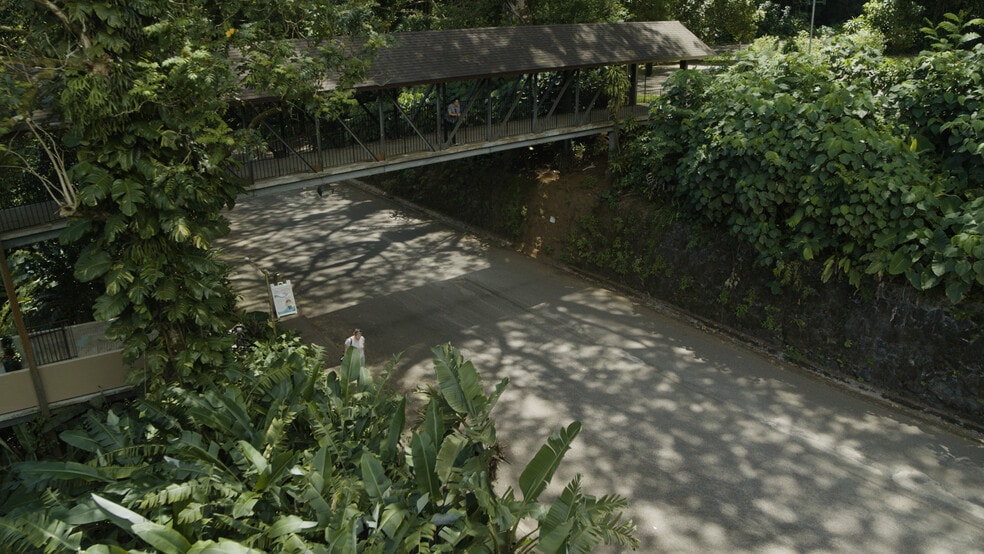 More Photos Of 3737 Manoa Rd, Honolulu Land For Sale