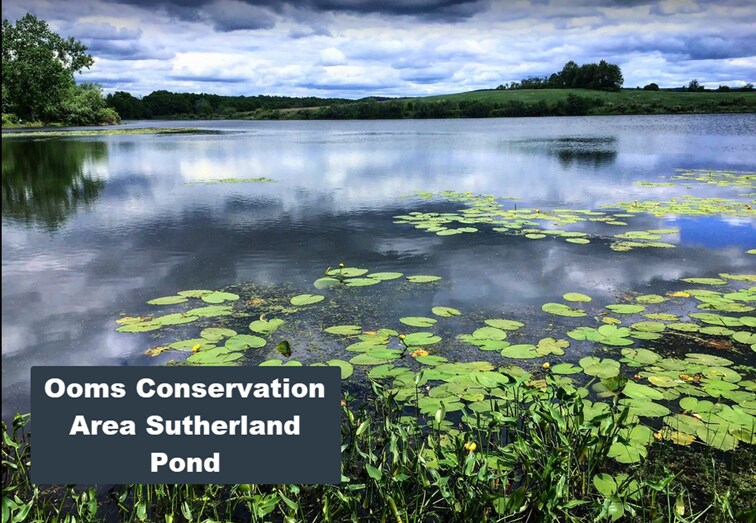 More Photos Of Albany Turnpike, Old Chatham Land For Sale