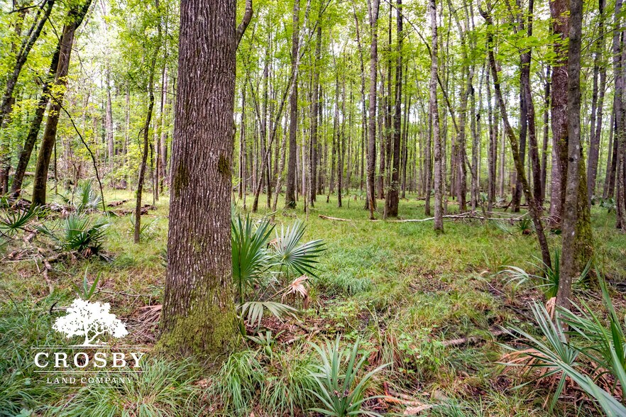 More Photos Of 3009 Lowcountry Drive, Ridgeland Land For Sale