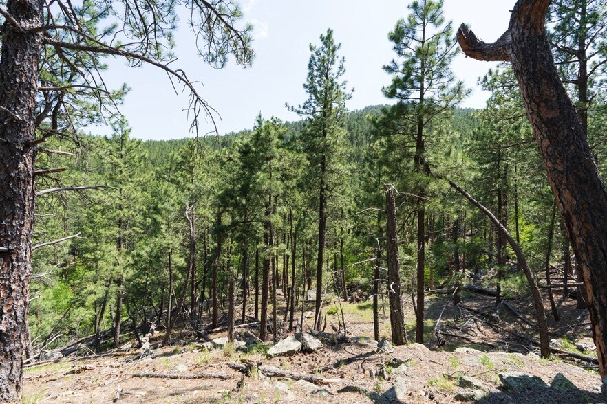 More Photos Of 1201A Old Hill City Rd, Keystone Land For Sale