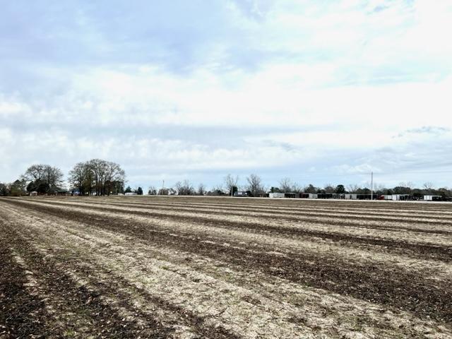 More Photos Of 8291 GA Highway 67, Brooklet Land For Sale