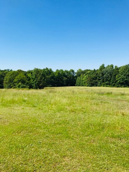 Primary Photo Of 4612 Highway 101, Woodruff Land For Sale