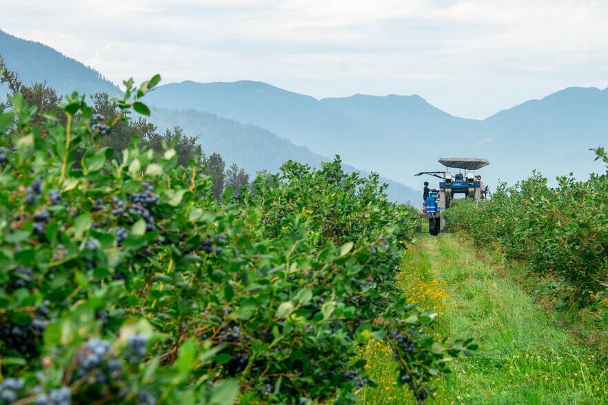 More Photos Of 3387 Tolmie Rd, Abbotsford Land For Sale
