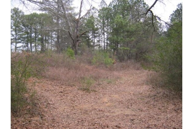 More Photos Of 0 Ridge Rd, Hiram Land For Sale